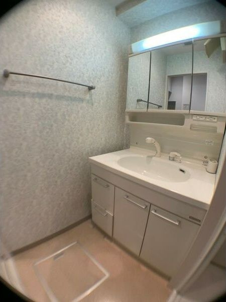 ジューム南船場の洗面所