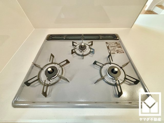 伏見区羽束師鴨川町　12号地の外観