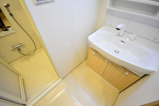 アメニティ西田辺の洗面所