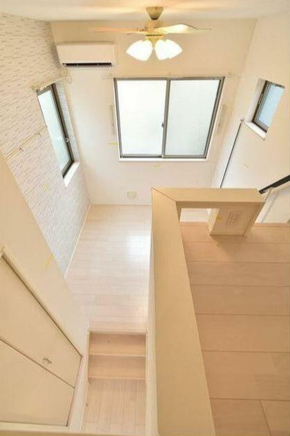 オアシスコイワのその他