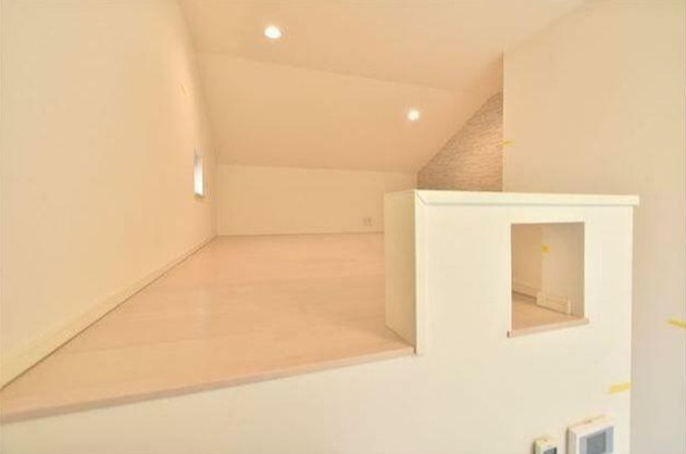 オアシスコイワのその他