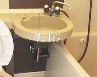 【洗面所】 | 日興パレセゾン新宿 | 洗面台です。