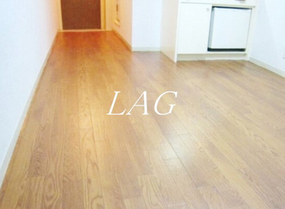 【居間・リビング】 | 日興パレセゾン新宿 | 洋室のお部屋です。