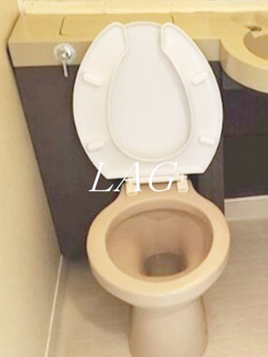 【トイレ】 | 日興パレセゾン新宿 | トイレです。