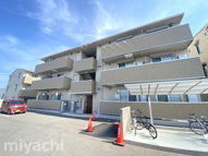 ロイヤルサンAの画像