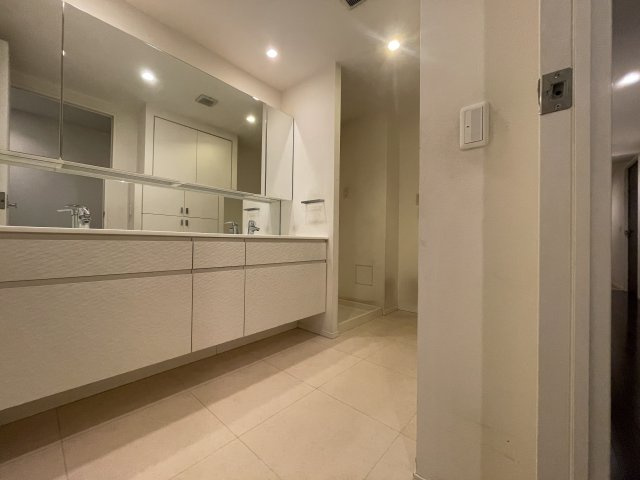 Brillia平尾浄水の独立洗面台