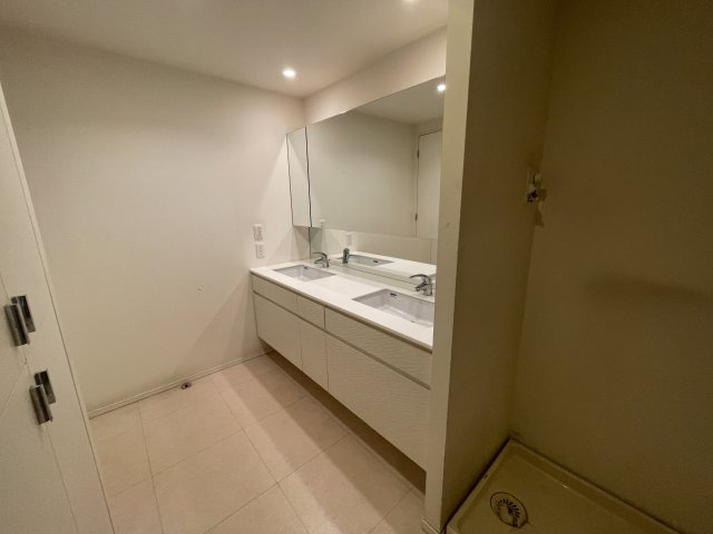 Brillia平尾浄水の独立洗面台