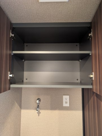 レーベン福岡天神ONE TOWERの収納