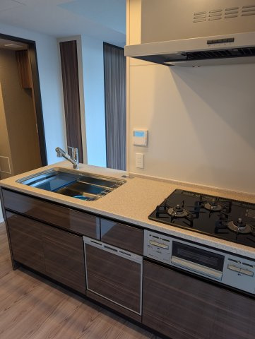 レーベン福岡天神ONE TOWERのキッチン