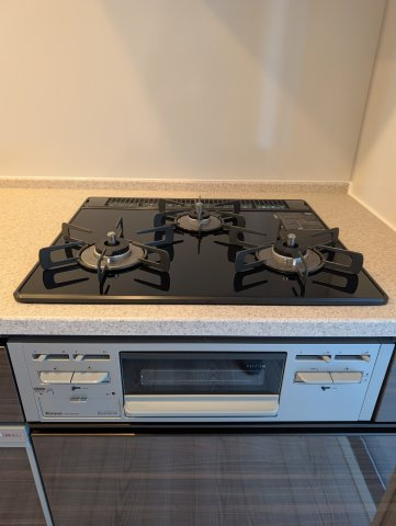 レーベン福岡天神ONE TOWERのキッチン