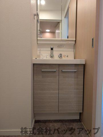 エンクレスト薬院大通の洗面所