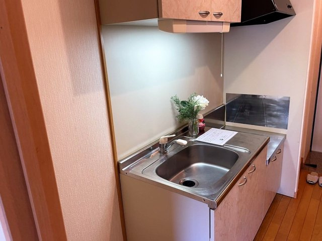 ピオーレ大手門のキッチン