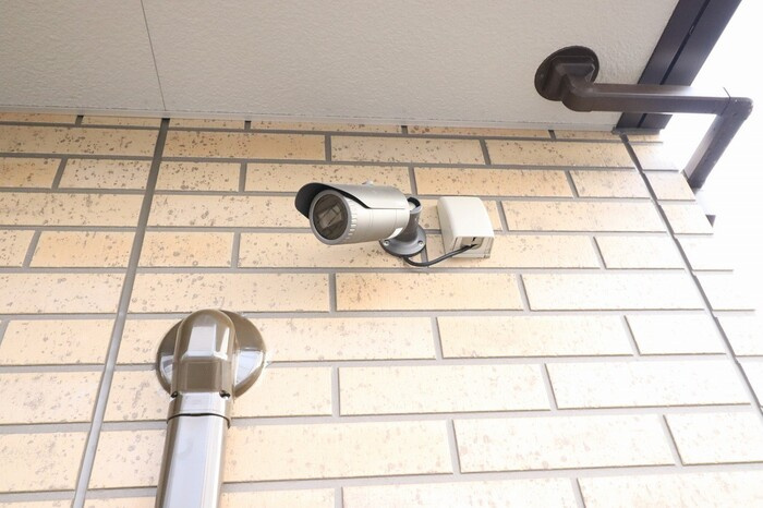 マリポーサ・ブランカのセキュリティ