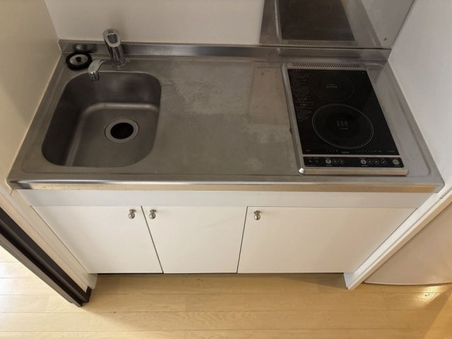 レオネクストヴィラージュ碧水Ⅱのキッチン