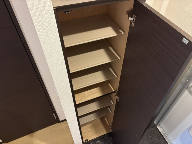 レオネクストヴィラージュ碧水Ⅱのその他