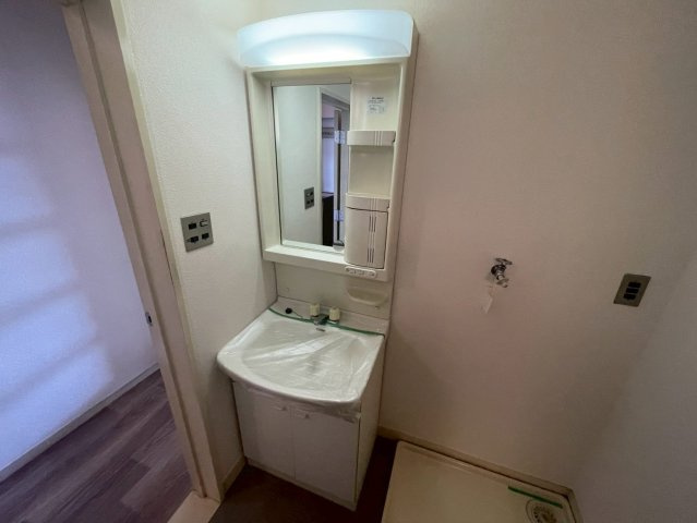 プラザ翠光の洗面所