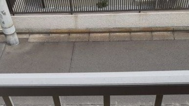 【展望】 | メゾン・ド・ポワソン