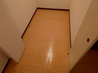 ミニョン・Ｍのその他