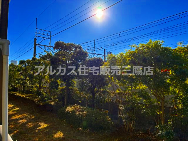 府中武蔵野ハイライズの庭