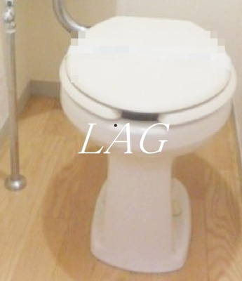 【トイレ】 | プレジールパルコ | トイレです。