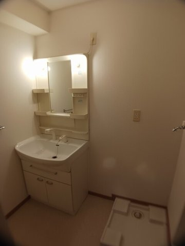 メゾン　オリンピアの洗面所