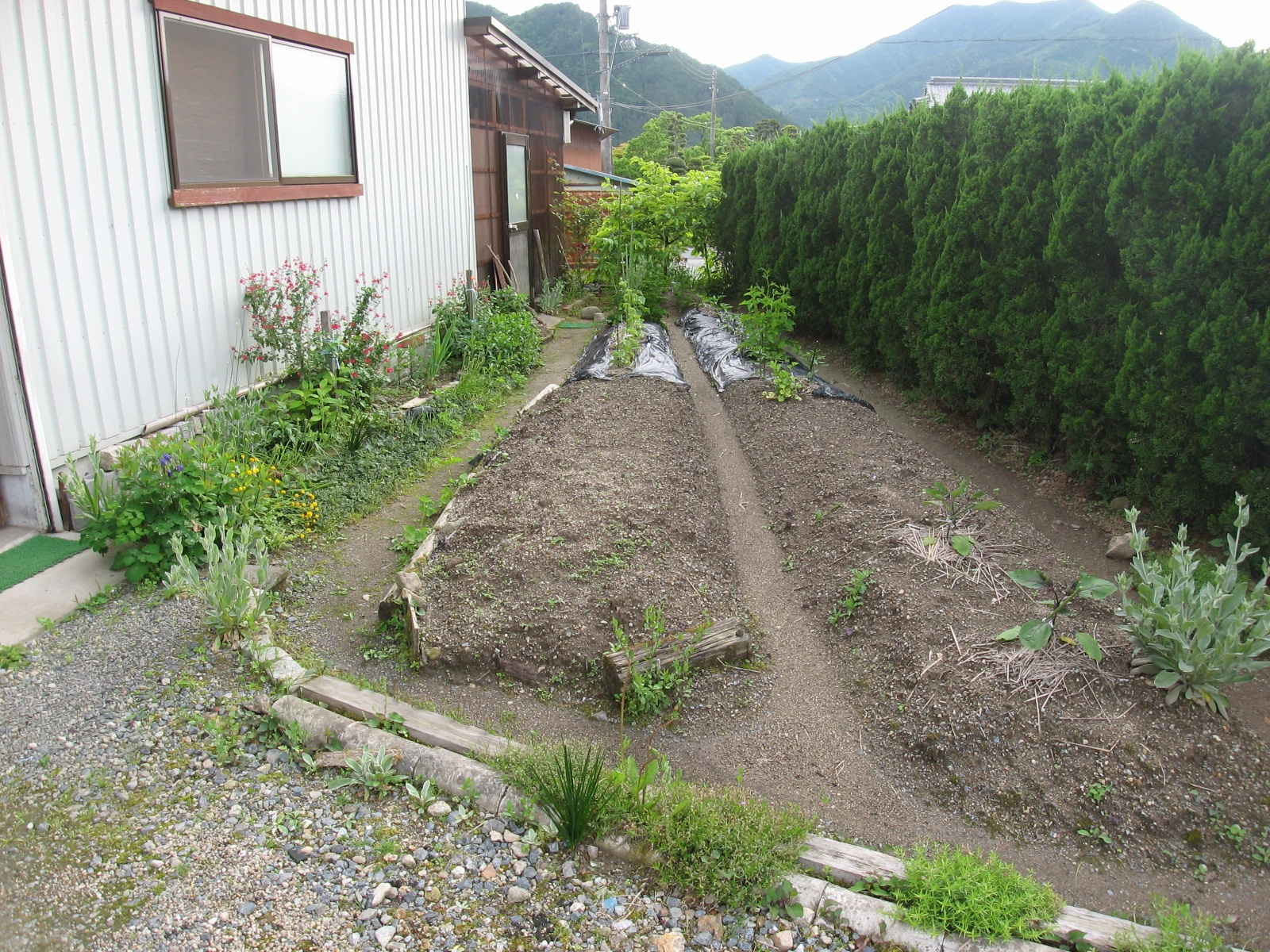 丹波市氷上町清住の中古一戸建