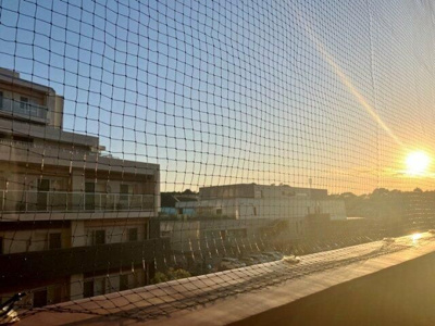 【展望】 | サングランデアルフィーヌＢ棟