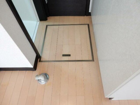 ラ・セルジュの玄関