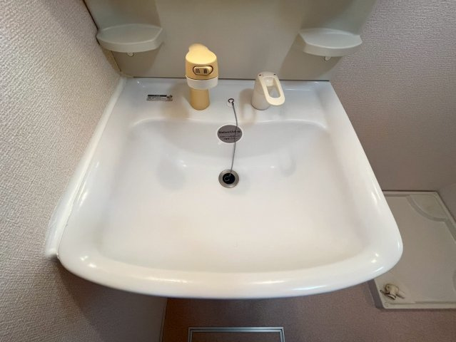 ラ・フロール青垣の洗面所