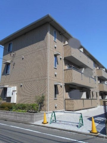 オリーブの外観