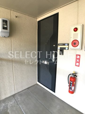  | ハイカムールはなべＢ