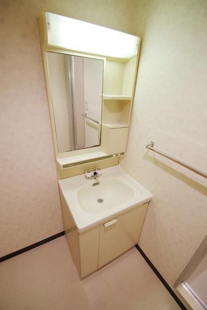 川崎市多摩区菅北浦２丁目の賃貸マンションの洗面所