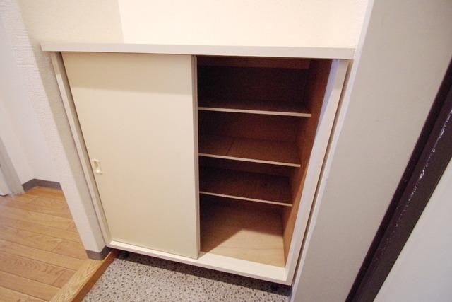 川崎市多摩区菅北浦２丁目の賃貸マンションの収納