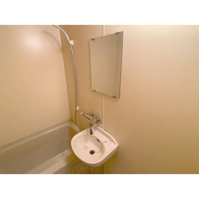 アイリットハイツ第２の洗面所