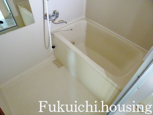 パレス藤の浴室