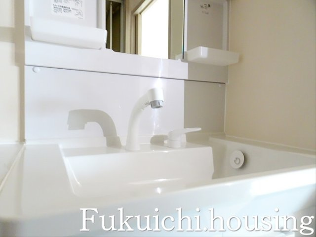 パレス藤の洗面所