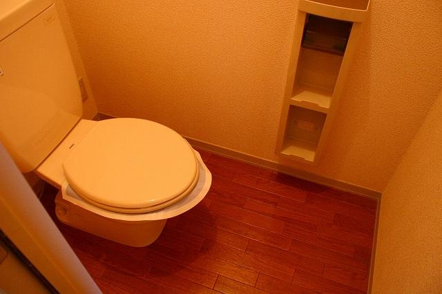 パークサイド精華台Ａ．Ｂ．Ｃ．Ｄのトイレ|トイレも気になるポイント