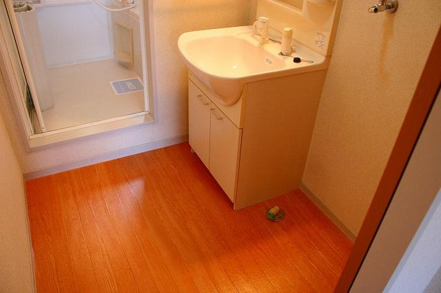 パークサイド精華台Ａ．Ｂ．Ｃ．Ｄの洗面所|使いやすい洗面所です