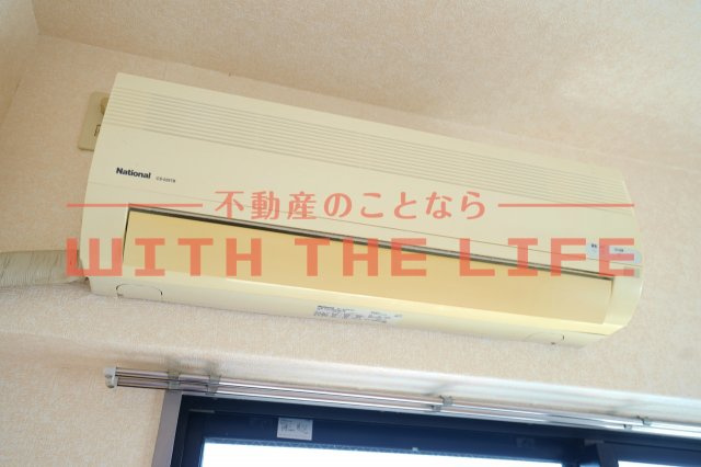 ダイナコート久留米レジックスのその他