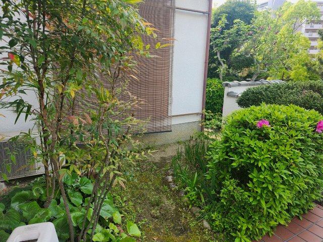 堺市南区高倉台2丁戸建の庭
