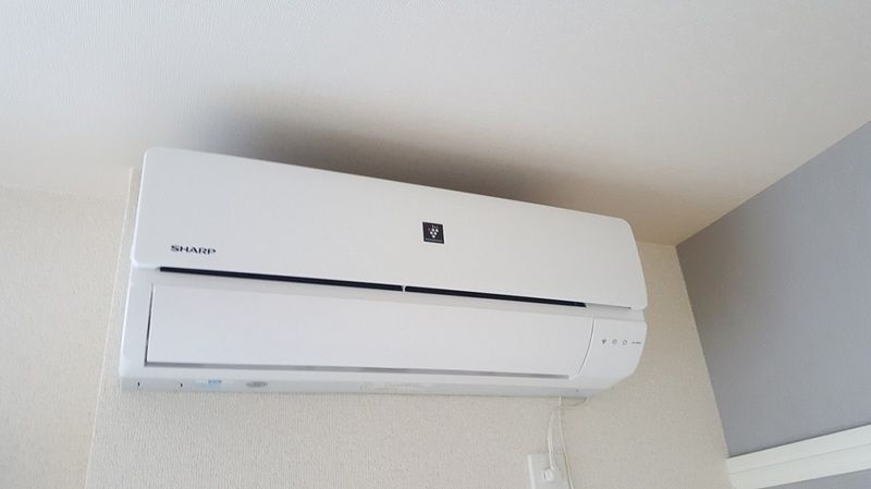 クレイノコモドラウムのその他