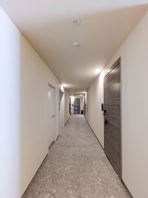 【その他】 | ベンガレンシス