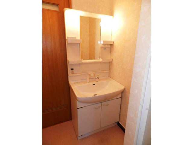 コーポアイリスの洗面所