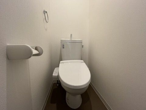 ジーメゾン金山のトイレ|落ち着いた色調のトイレです