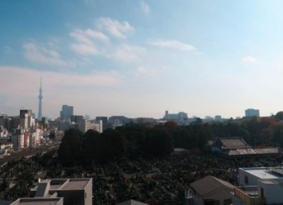 【展望】 | パークキューブ上野桜木