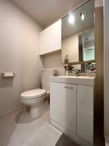 ハーモニーテラス蓮沼町Ⅱの洗面所|別号室イメージの為、現状を優先致します。