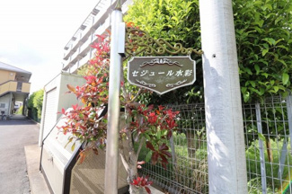  | セジュール水彩