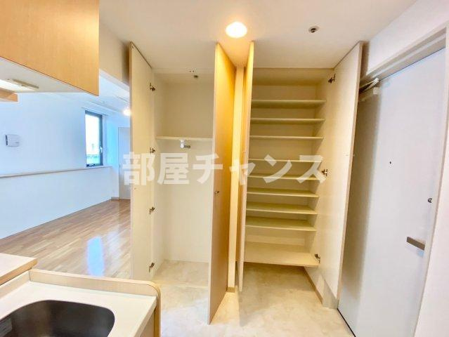 KDXレジデンス東桜Iの収納