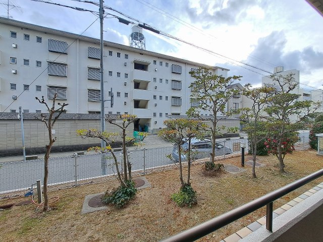 レジェンダリー小松の展望