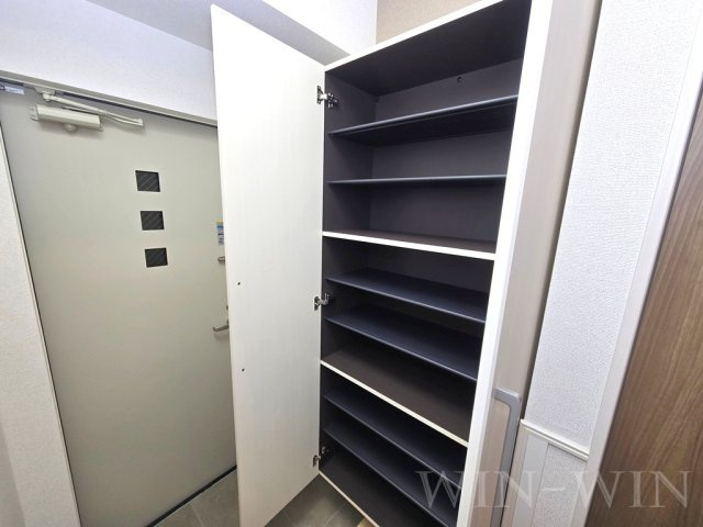 アンサンブル Ⅲの玄関|イメージ（同施工会社同一モデルの写真です）